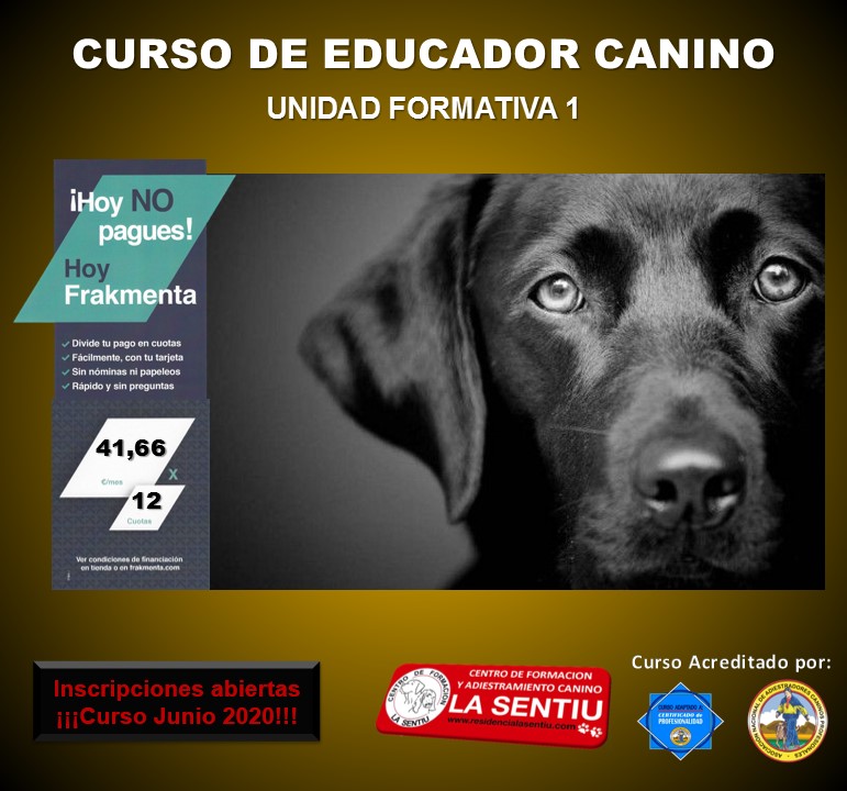 Publicidad_Abril_2020.jpg